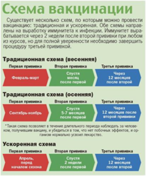 энц 3